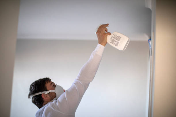 Best Commercial Mold Removal  in Warr Acres, OK