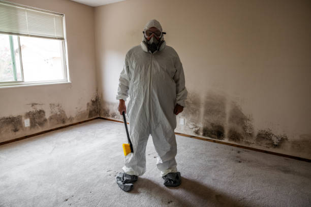 Warr Acres, OK Mold Removal Company